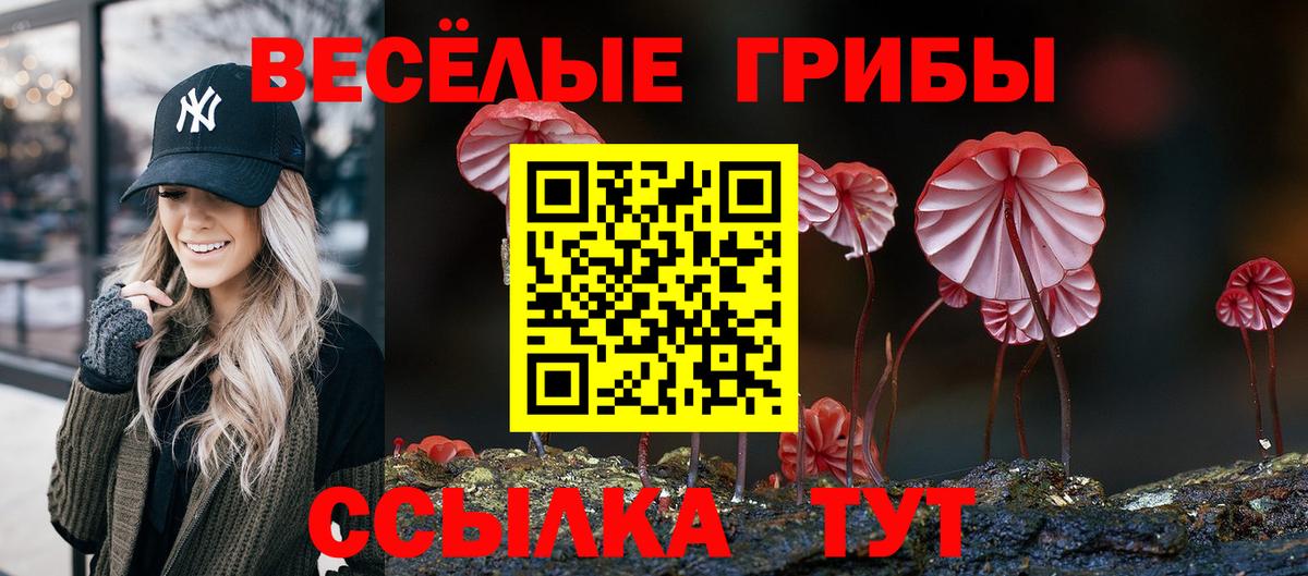 Галлюциногенные грибы прущие грибы Екатеринбург